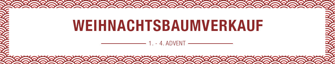 Weihnachtsbaumkauf auf dem Serrerhof